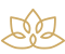 h1 custom icon 3